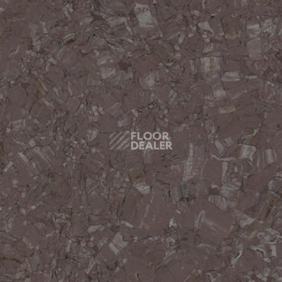 Линолеум Tarkett iq Megalit DARK BROWN 0608 фото 1 | FLOORDEALER